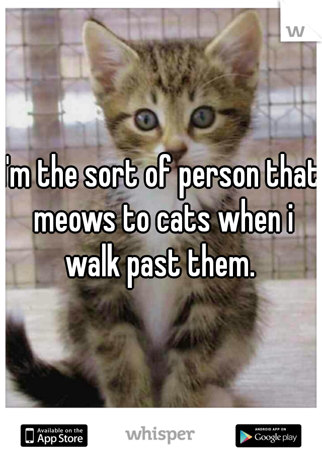 I'm the sort of person that meows to cats when i walk past them. 