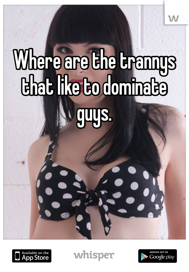 Where are the trannys that like to dominate guys. 