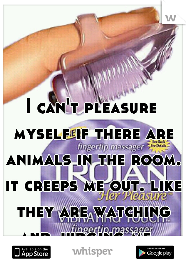 I can't pleasure myself if there are animals in the room. it creeps me out. like they are watching and judging me.  