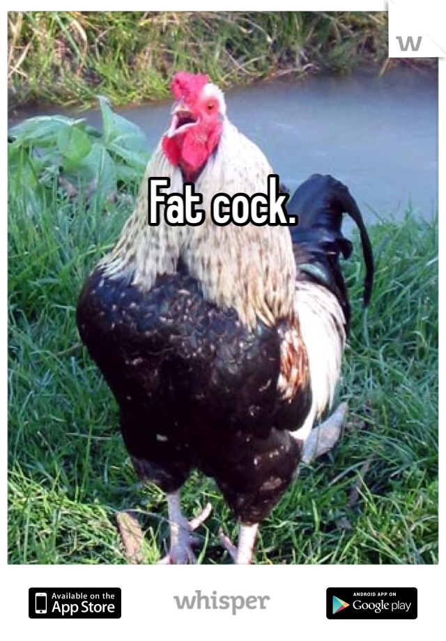 Fat cock.