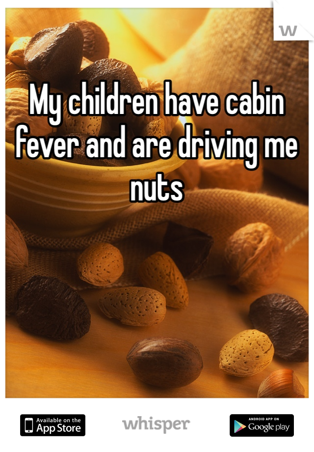 My children have cabin fever and are driving me nuts 
