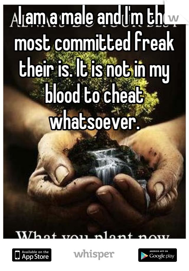 I am a male and I'm the most committed freak their is. It is not in my blood to cheat whatsoever.
