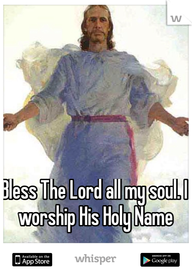 Bless The Lord all my soul. I worship His Holy Name 