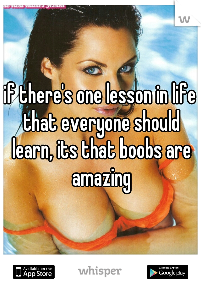 if there's one lesson in life that everyone should learn, its that boobs are amazing