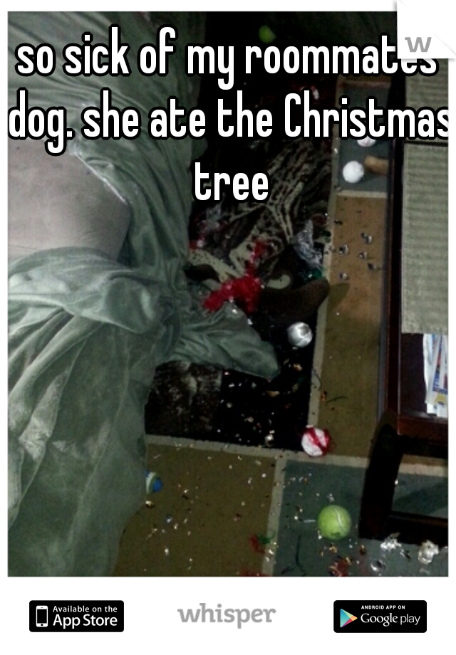 so sick of my roommates dog. she ate the Christmas tree