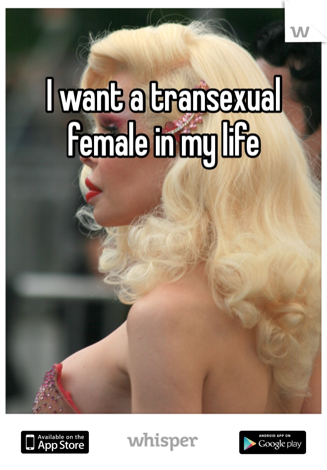 I want a transexual female in my life 