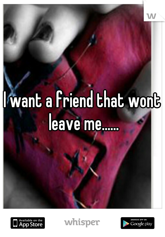 I want a friend that wont leave me......