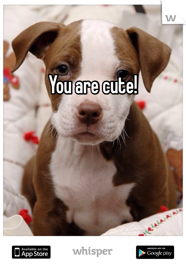 You are cute!