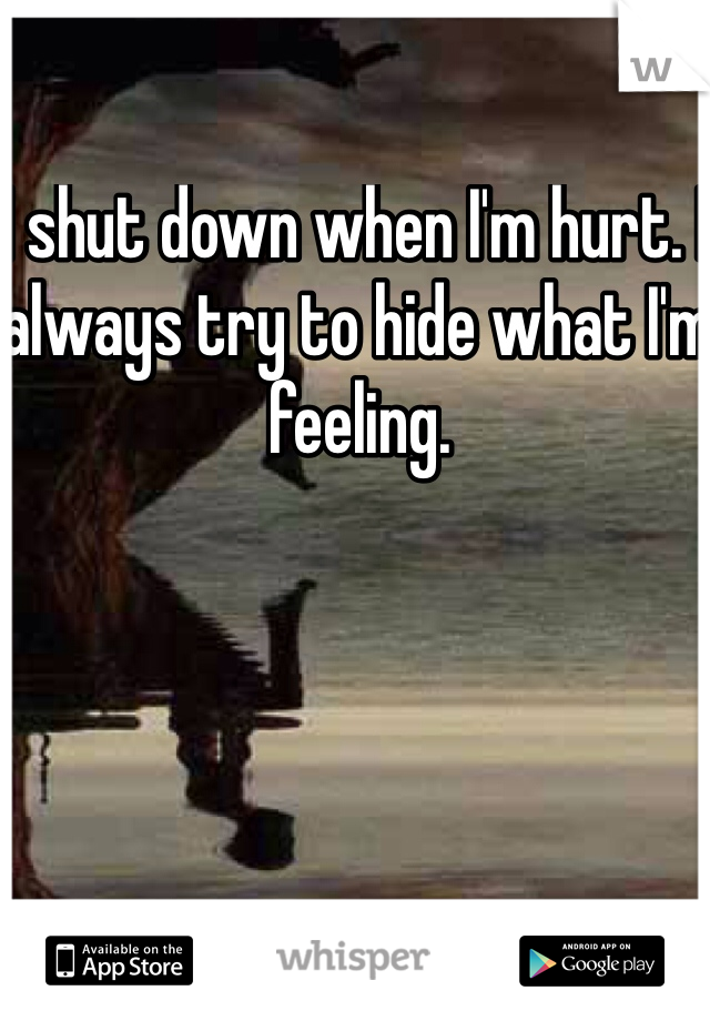 I shut down when I'm hurt. I always try to hide what I'm feeling.  