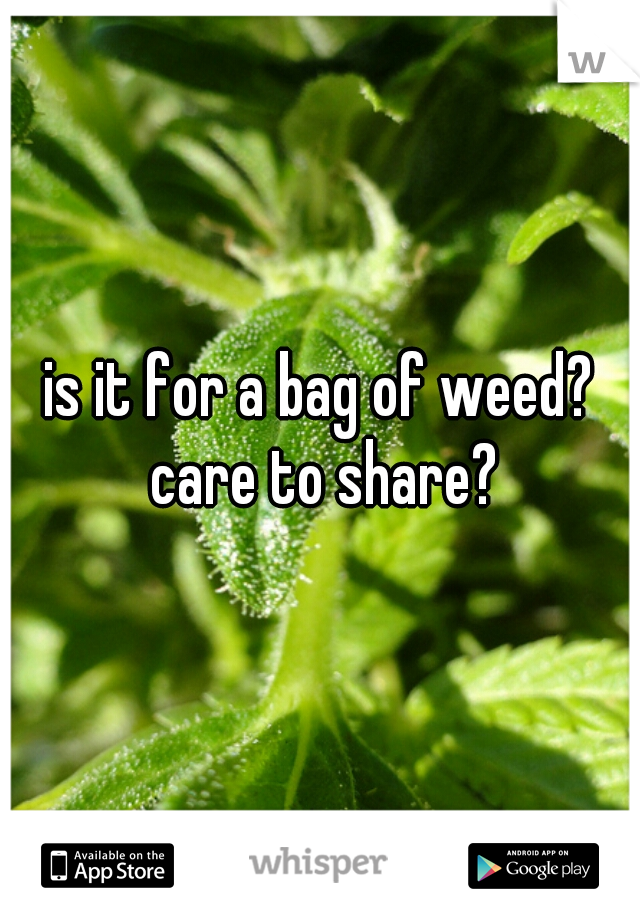 is it for a bag of weed? care to share?