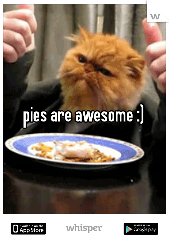 pies are awesome :)