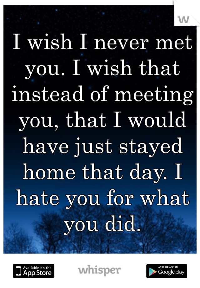 I wish I never met you. I wish that instead of meeting you, that I would have just stayed home that day. I hate you for what you did.
