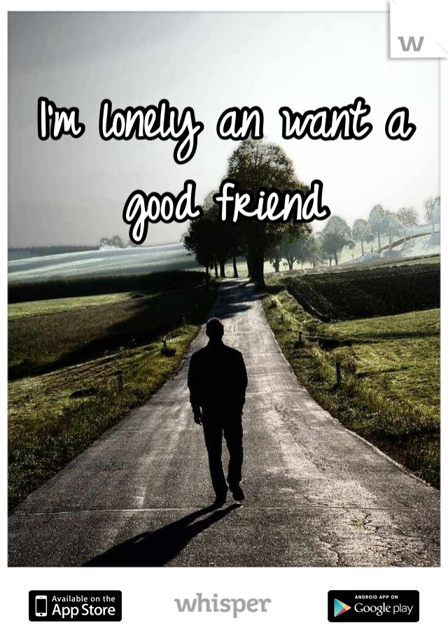 I'm lonely an want a good friend 