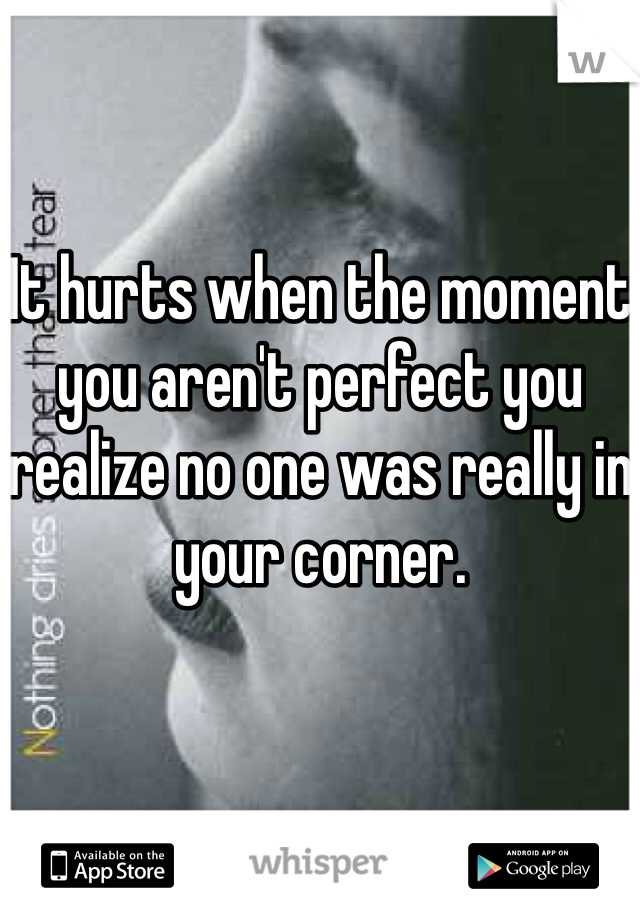 It hurts when the moment you aren't perfect you realize no one was really in your corner.
