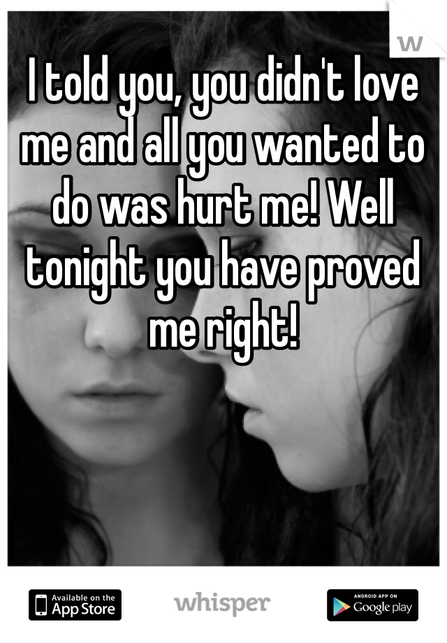 I told you, you didn't love me and all you wanted to do was hurt me! Well tonight you have proved me right!