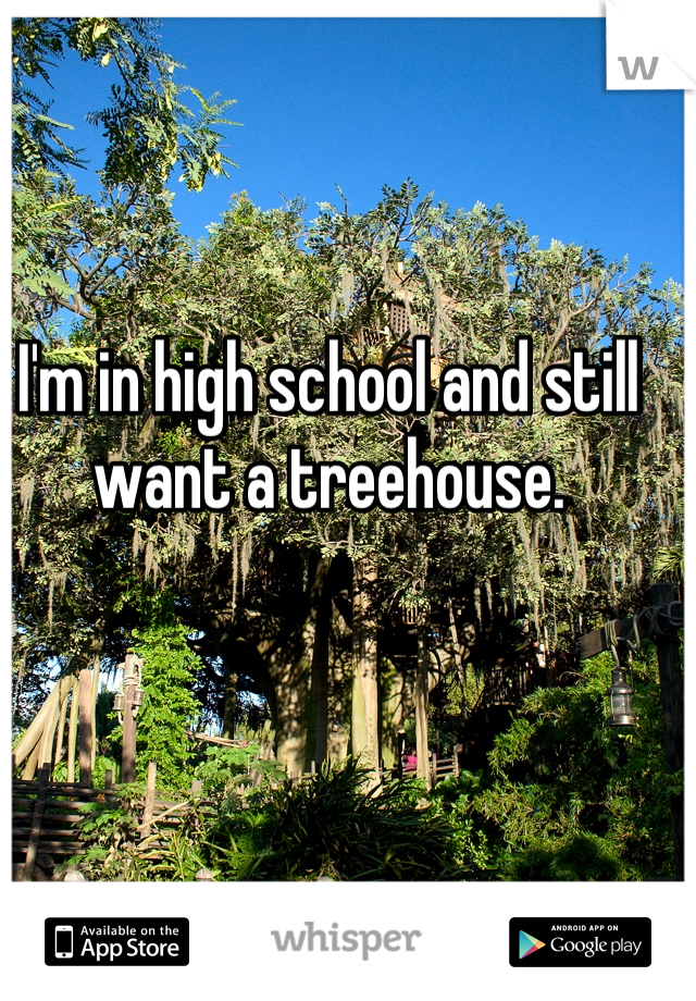 I'm in high school and still want a treehouse.