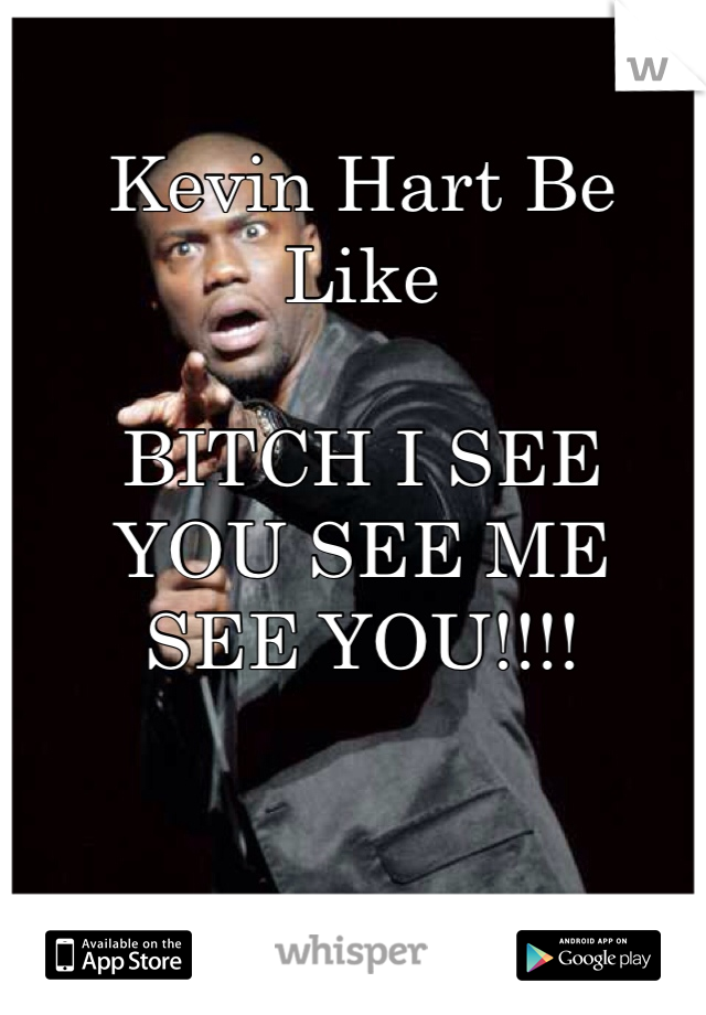 Kevin Hart Be Like

BITCH I SEE 
YOU SEE ME
SEE YOU!!!!