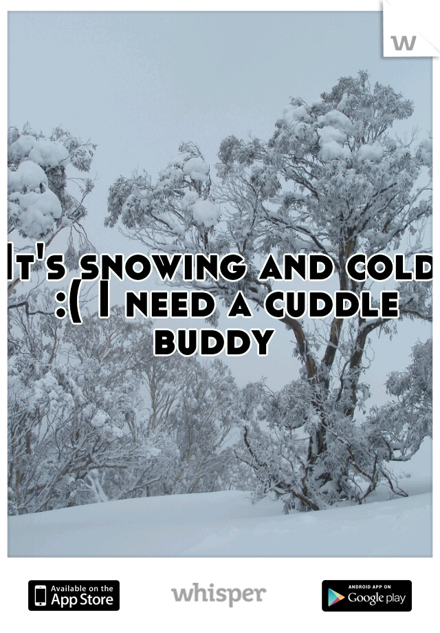 It's snowing and cold :( I need a cuddle buddy  