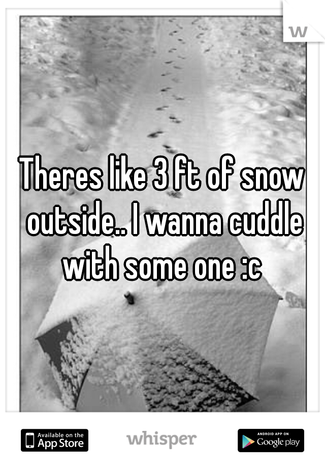 Theres like 3 ft of snow outside.. I wanna cuddle with some one :c 