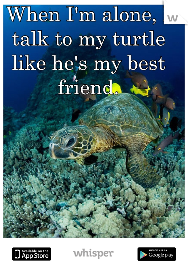 When I'm alone, I talk to my turtle like he's my best friend.