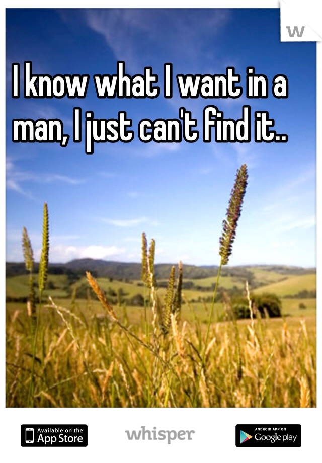 I know what I want in a man, I just can't find it..