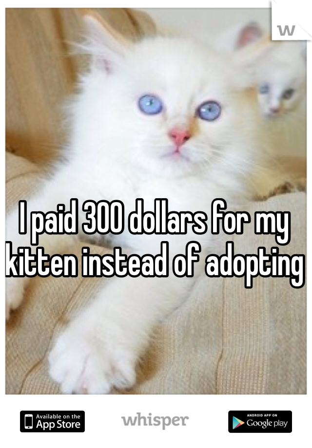 I paid 300 dollars for my kitten instead of adopting 