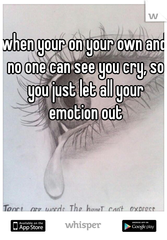 when your on your own and no one can see you cry, so you just let all your emotion out