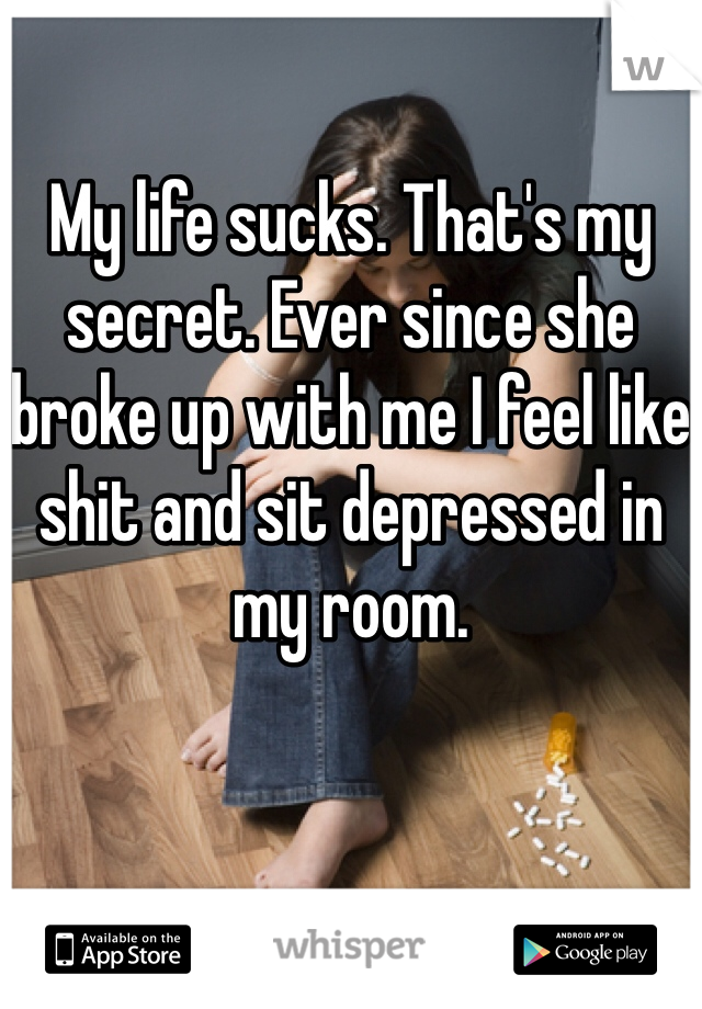 My life sucks. That's my secret. Ever since she broke up with me I feel like shit and sit depressed in my room.