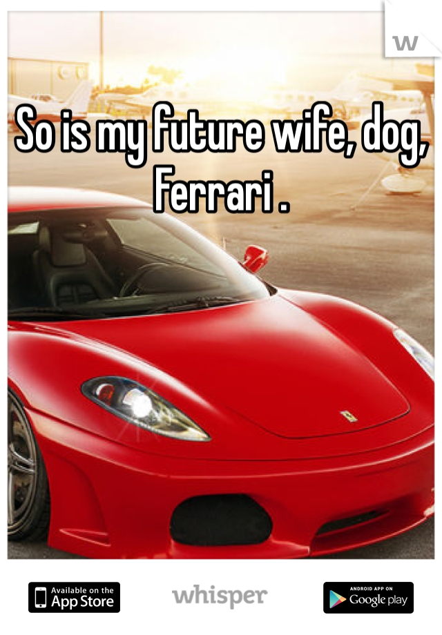 So is my future wife, dog, Ferrari .