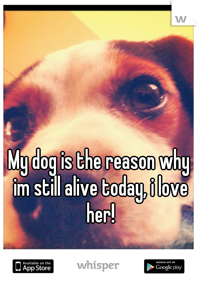 My dog is the reason why im still alive today, i love her!