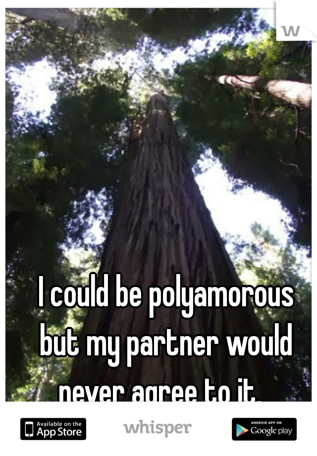 I could be polyamorous
but my partner would
never agree to it.  