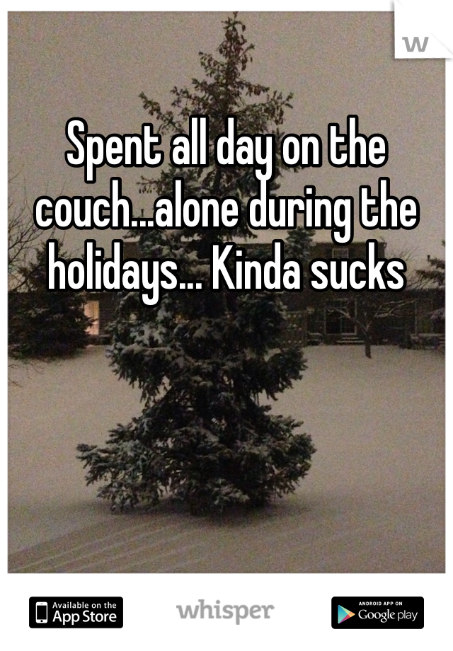 Spent all day on the couch...alone during the holidays... Kinda sucks