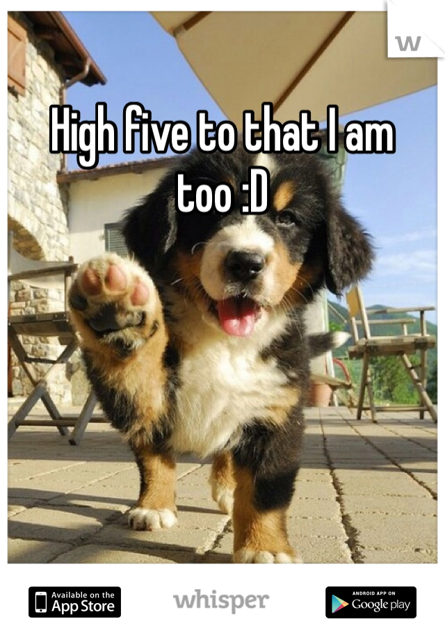 High five to that I am too :D