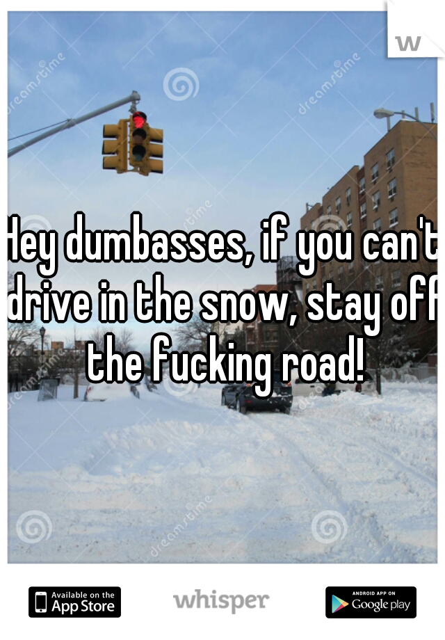 Hey dumbasses, if you can't drive in the snow, stay off the fucking road!