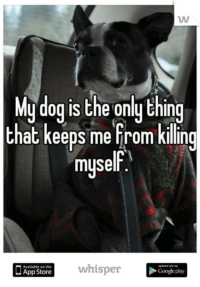My dog is the only thing that keeps me from killing myself.