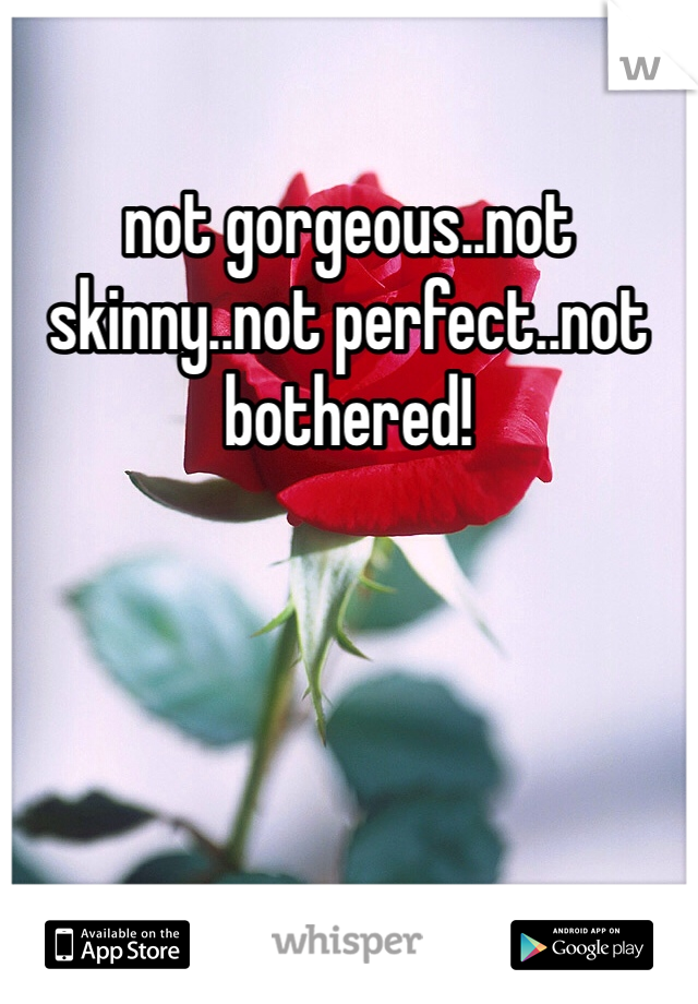 not gorgeous..not skinny..not perfect..not bothered!