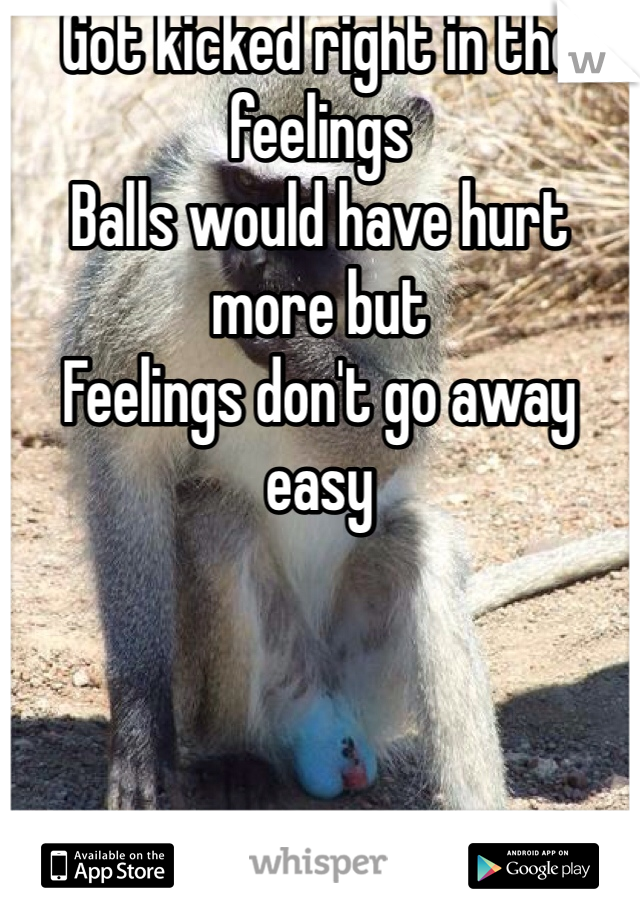 Got kicked right in the feelings
Balls would have hurt more but 
Feelings don't go away easy