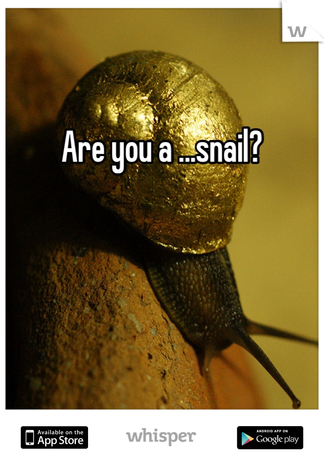 Are you a ...snail?