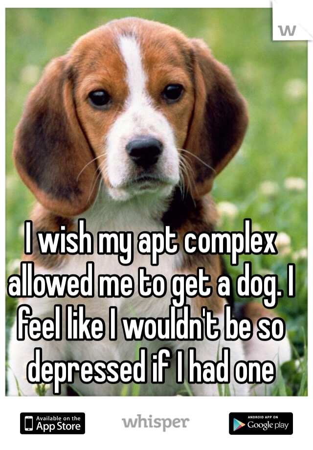 I wish my apt complex allowed me to get a dog. I feel like I wouldn't be so depressed if I had one 