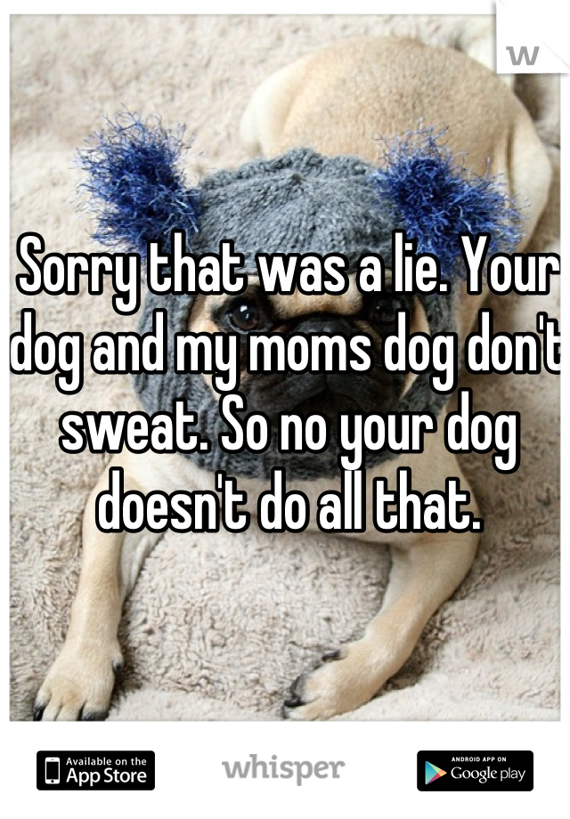 Sorry that was a lie. Your dog and my moms dog don't sweat. So no your dog doesn't do all that.