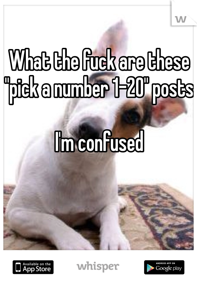 What the fuck are these "pick a number 1-20" posts

I'm confused 