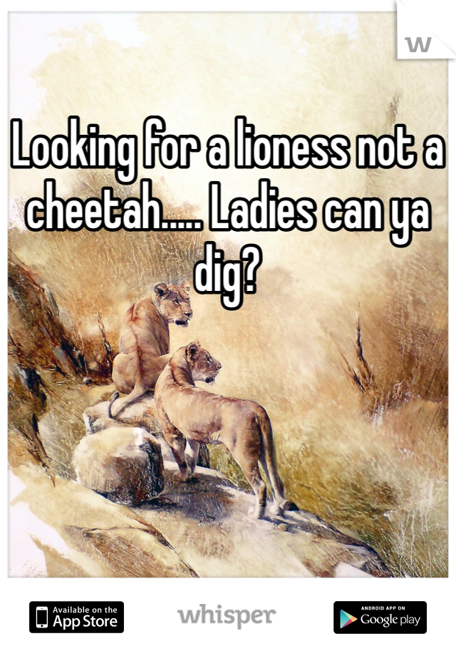 Looking for a lioness not a cheetah..... Ladies can ya dig?