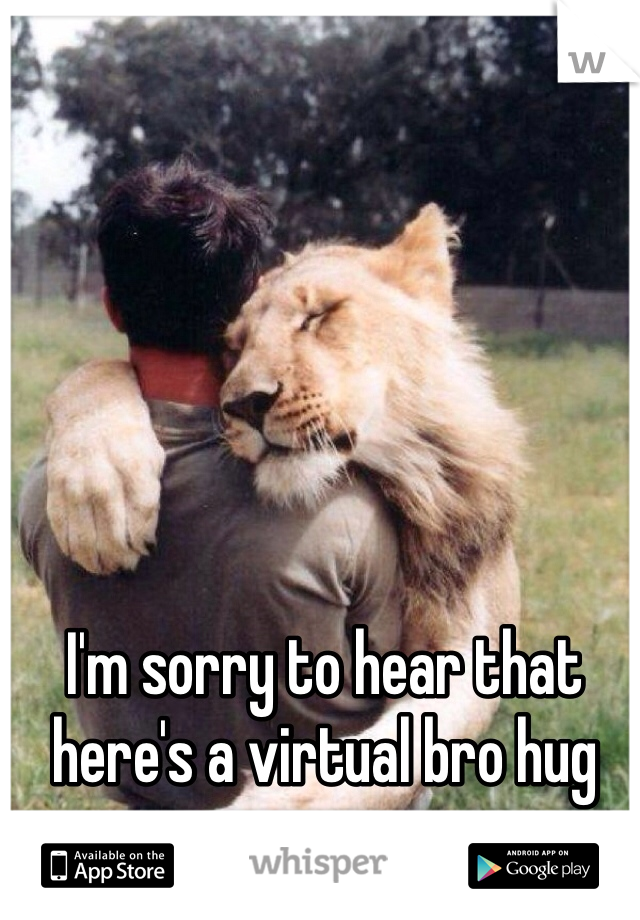 I'm sorry to hear that here's a virtual bro hug