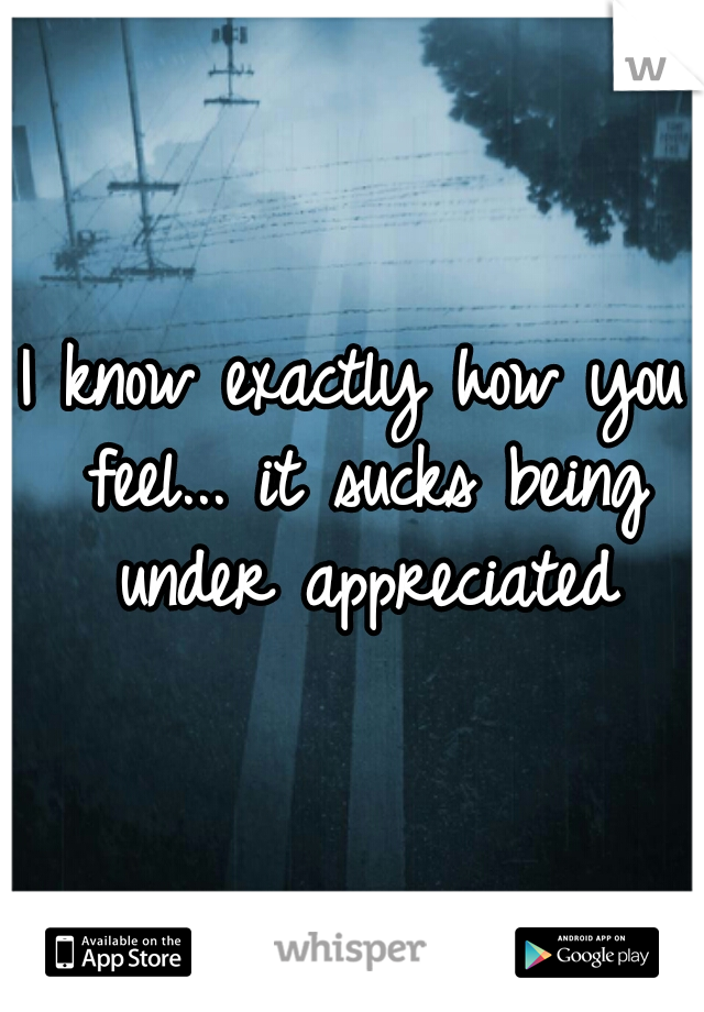 I know exactly how you feel... it sucks being under appreciated