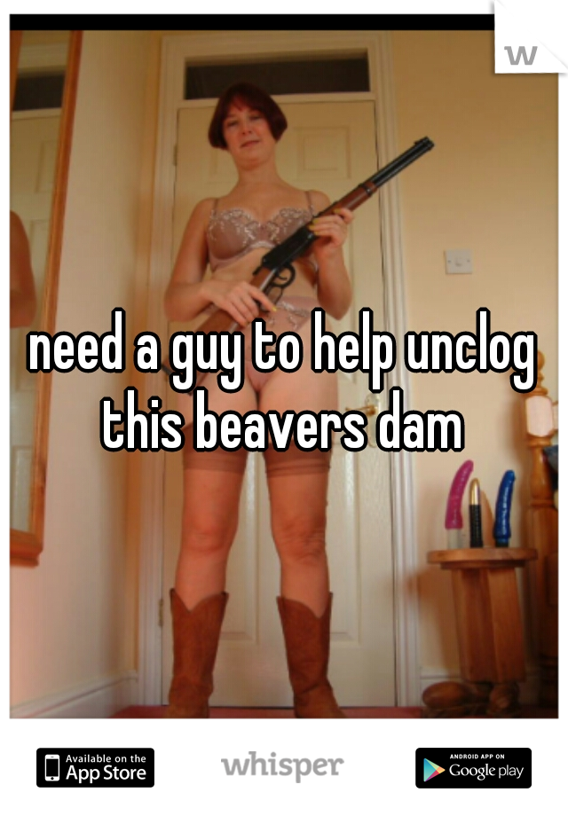 need a guy to help unclog this beavers dam 