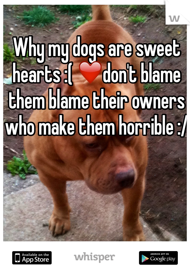 Why my dogs are sweet hearts :( ❤️don't blame them blame their owners who make them horrible :/ 