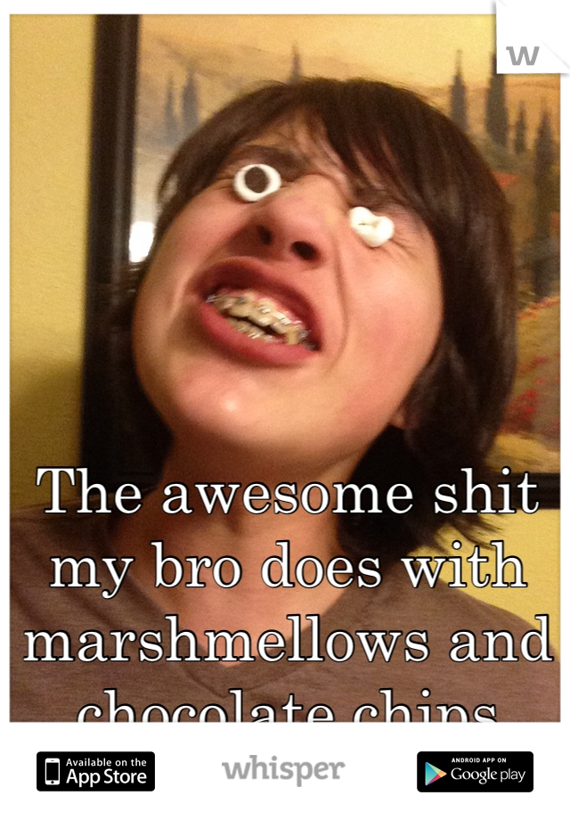 The awesome shit my bro does with marshmellows and chocolate chips