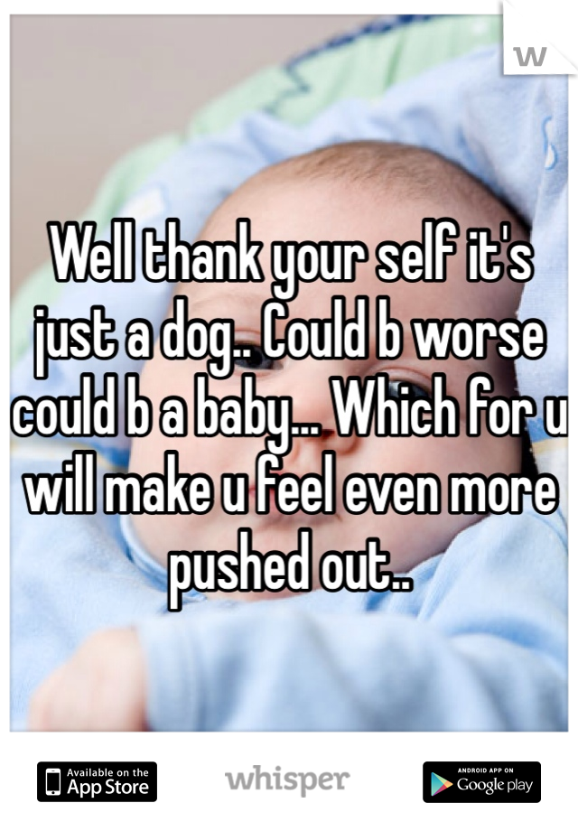 Well thank your self it's just a dog.. Could b worse could b a baby... Which for u will make u feel even more pushed out..