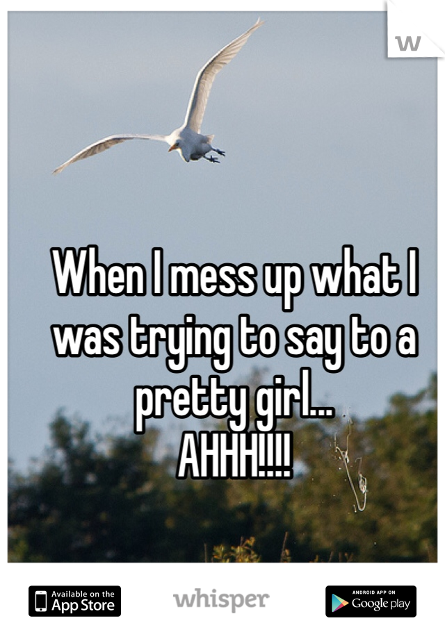 When I mess up what I was trying to say to a pretty girl...
AHHH!!!!