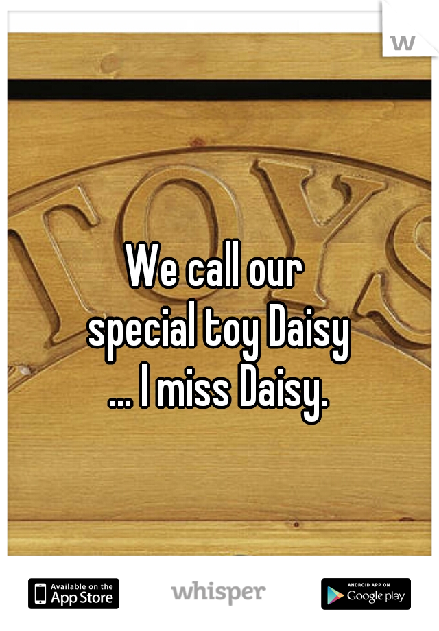 We call our 
special toy Daisy
... I miss Daisy.